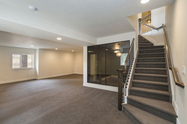 Basement Restoration Service in Johnson City