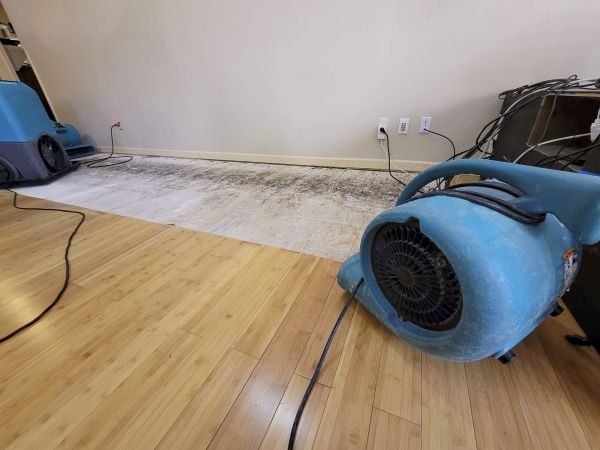 Water Damage Mitigation in Johnson City