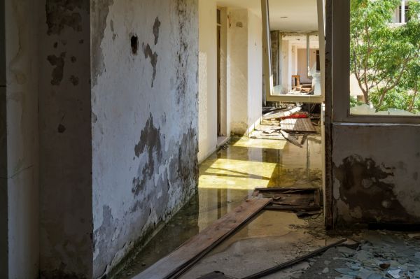 Cost of Water Removal Service in Johnson City