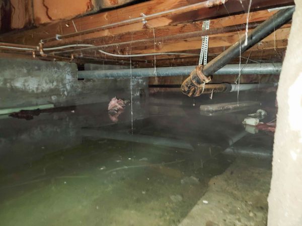 Water Mitigation Service in Johnson City