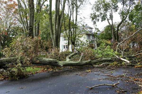 Tornado Damage Repair in Johnson City