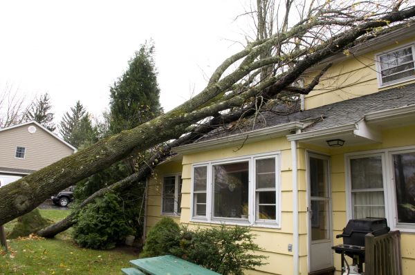 Storm Damage Mitigation in Johnson City