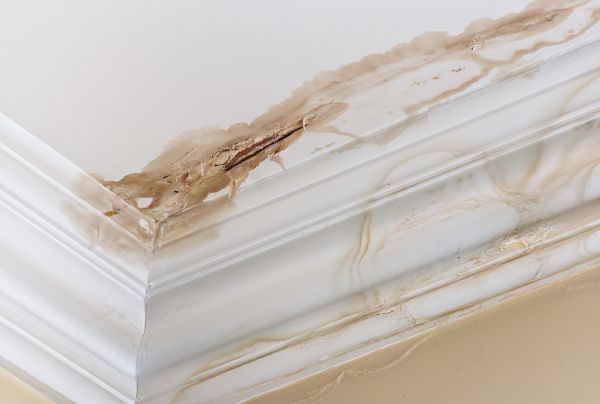 Water Damage Recovery in Johnson City